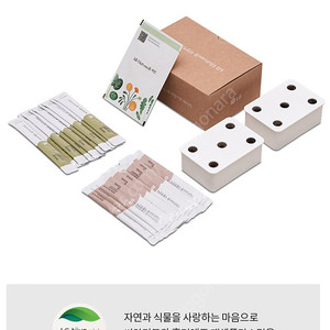 LG 틔운 미니 식물재배기 레몬 + 씨앗패키지
