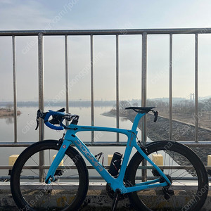 도그마 F10 반차