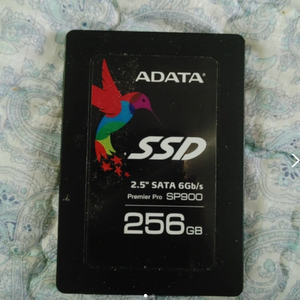 판교 ADATA 프리미어 프로 SP900 256GB SSD 2만
