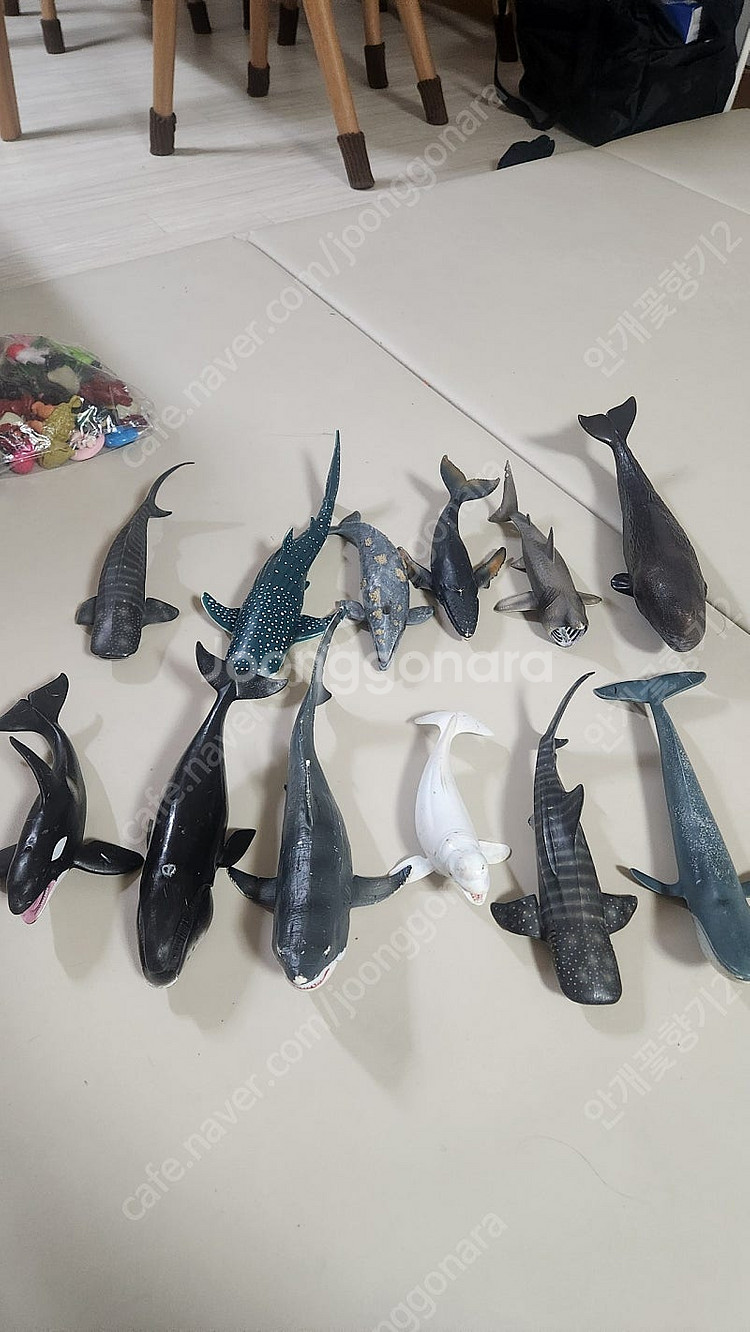 컬렉타 바다생물 피규어 팝니다--0