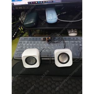 노트북 pc 에 usb 연결하여 영화 음악 감상에 사용하시기 좋은 2채널 스피커