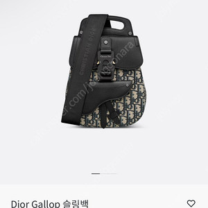 디올 옴므 갤럽 슬링백