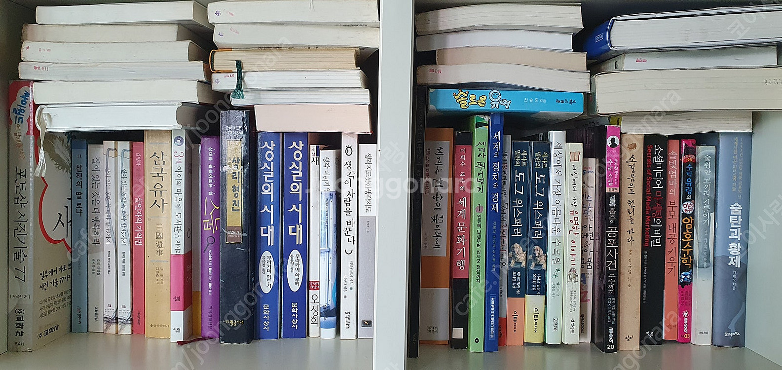 각종 도서/책 (소설, 교양, 역사, 경제, 정치, 만...--5