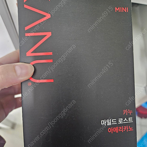 카누 미니마일드 100T