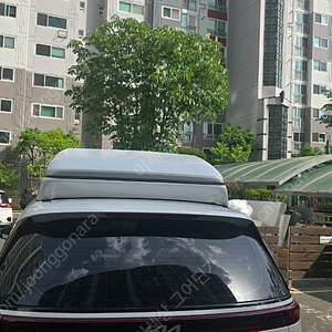 ka카니발 일체형 린드메이드 루프박스 팝니다