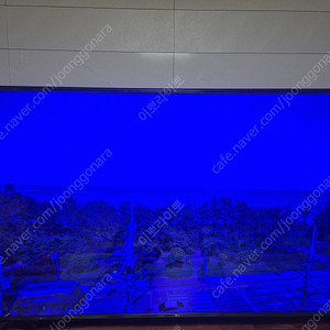 LG TV 엘지 티비 75인치 40만원에 팝니다~