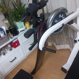 전문가용 운동기구