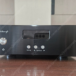 Audio gd r-1 R2R DAC
