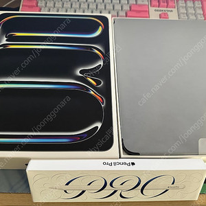 아이패드 프로 13 M4 256GB 셀룰러 블랙 애케플