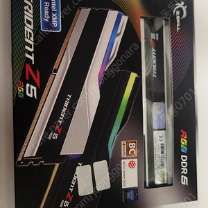 택포) 지스킬 ddr5 7800 32gb고클럭 램 팝니다.