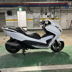 혼다 포르자300 13년식 16,570km + 그링고 퍼플 xl