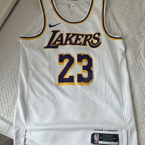 나이키 NBA스윙맨 르브론 제임스 LA 레이커스 44 (M) 사이즈 판매