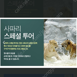 에버랜드 5월13일 사파리스페셜투어 쉐어 2명 구해요