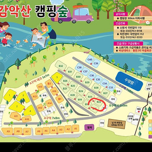 원주캠핑장 양도 6월6일~8일 현충일