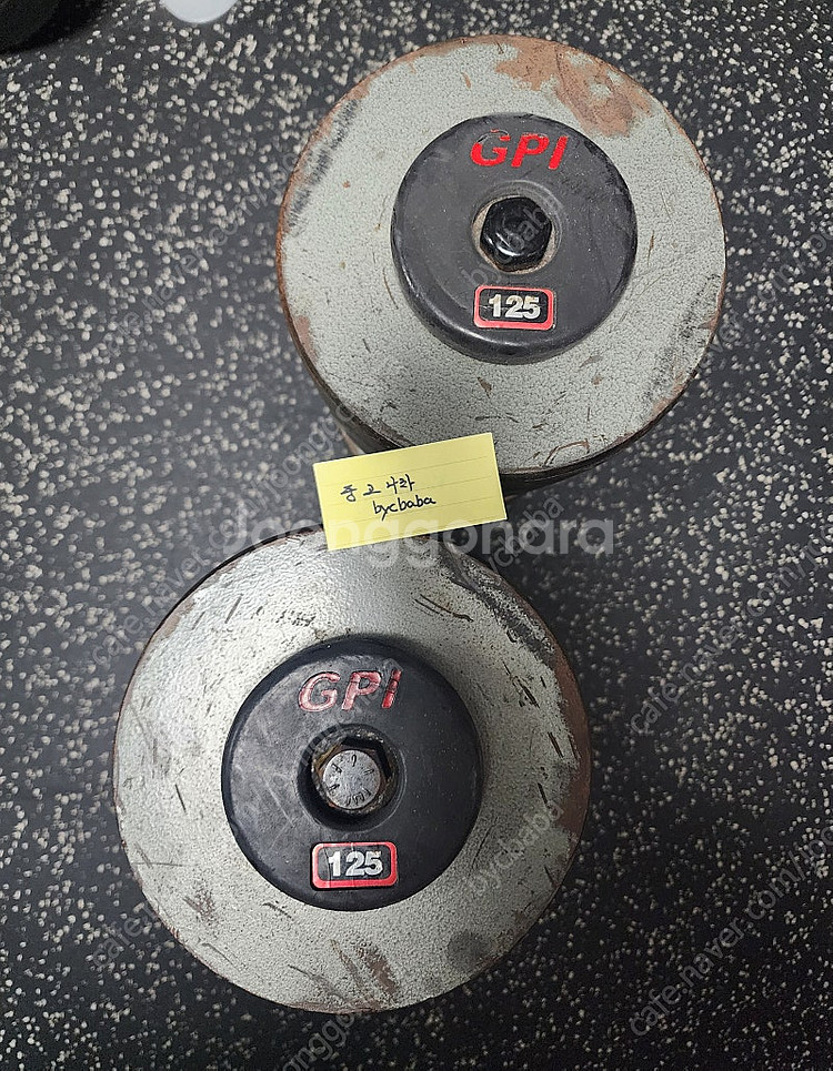 GPI 고중량 덤벨 125파운드, REHBAND 리밴드...--1