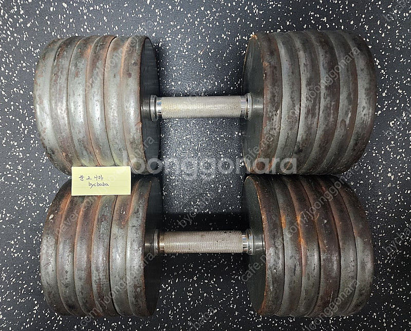 GPI 고중량 덤벨 125파운드, REHBAND 리밴드...--2