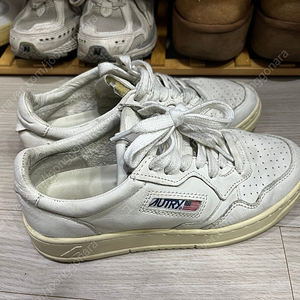 오트리 240