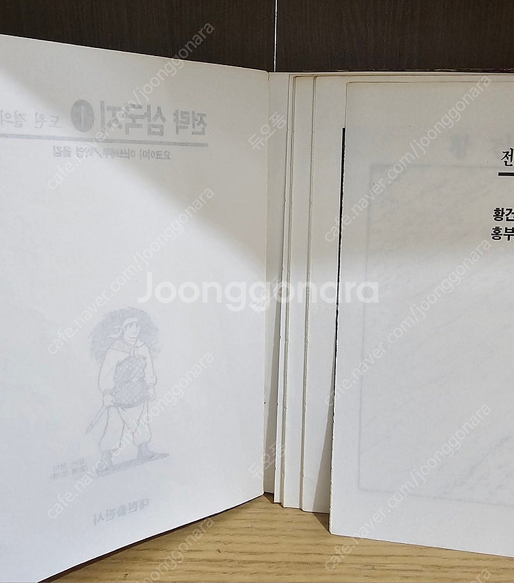 대현출판사 전략 삼국지 60권--2