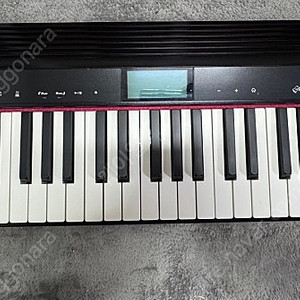 롤랜드 고피아노61 판매 ROLAND GO-Piano 61건반 고피아노 61