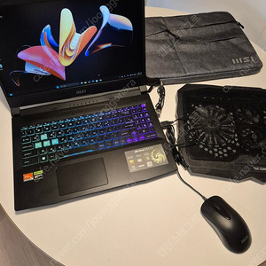MSI 브라보15 라이젠9세대 7940hs rtx0460 32gb 1tb 게이밍노트북 팝니다.