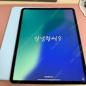 아이패드 프로 12.9 5세대 m1 256기가 셀룰러 스그 단품