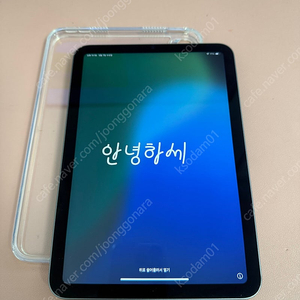 아이패드 미니6 256기가 와이파이 스그 단품