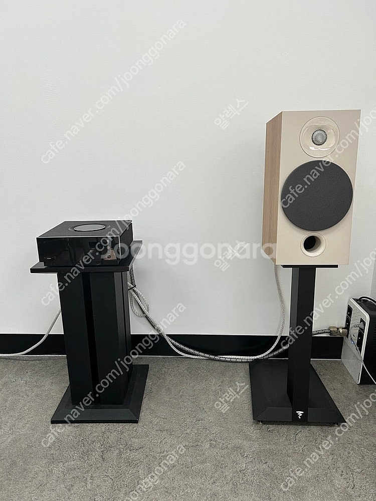 NAIM ATOM (네임 아톰)+ 포칼 코라 806 세...--0