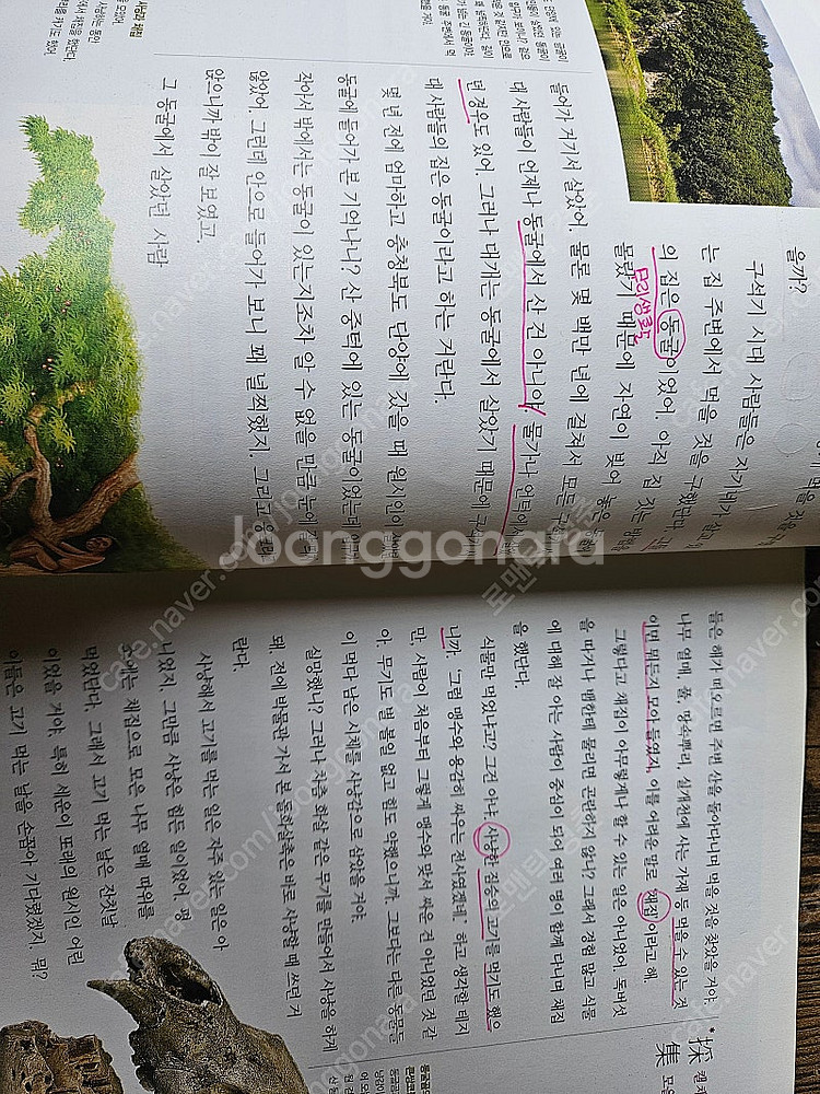 한국사 편지 : 개정판. 전5권 세트.--2