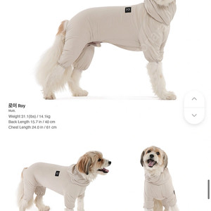 쏘오옥 강아지 쿨링 올인원 3XL 베이지