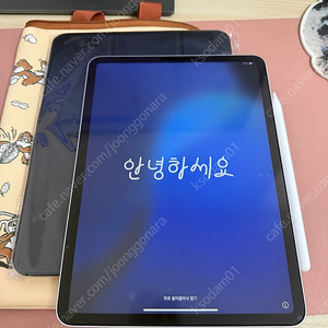 아이패드 프로 4세대 11인치 m2 128기가 실버 와이파이+애펜2