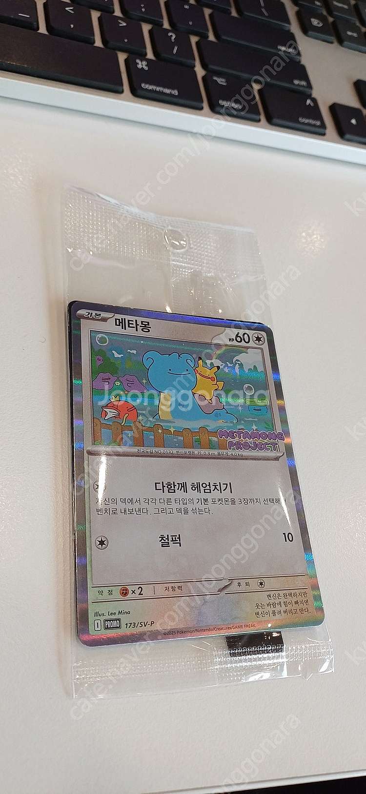 포켓몬 메타몽 프로모 카드--0