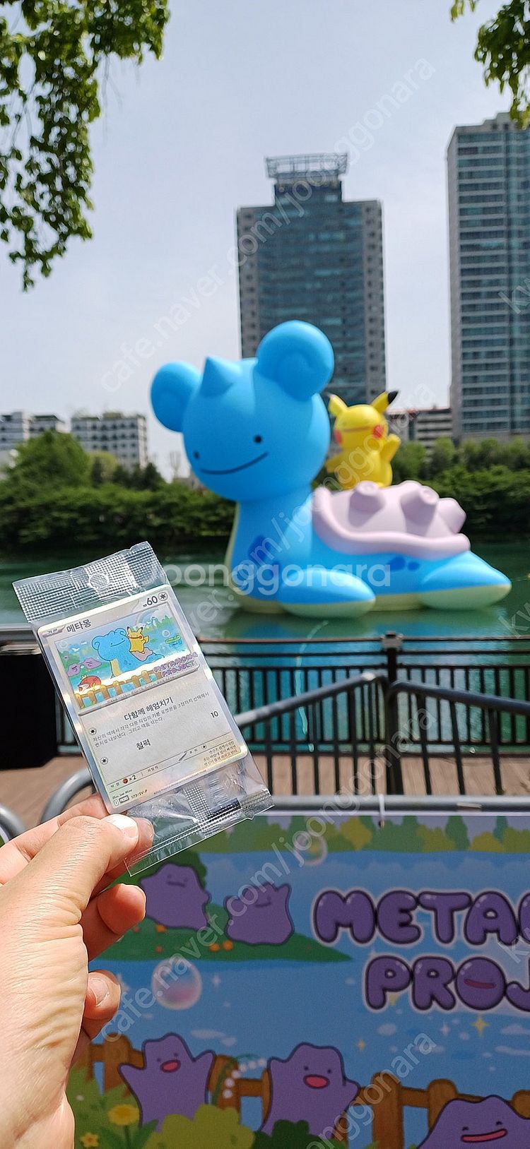 포켓몬 메타몽 프로모 카드--2