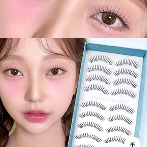 속눈썹