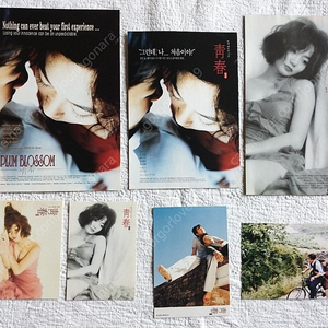 , 2000년, 청춘, 김래원, 배두나, 영어,2거의단,배두나,전단지,엽서 6종