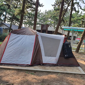 버팔로 텐트ㅡ대전 유성구