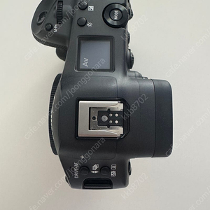 캐논 eos r3 판매합니다