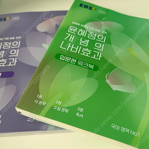 윤혜정 개념의 나비효과