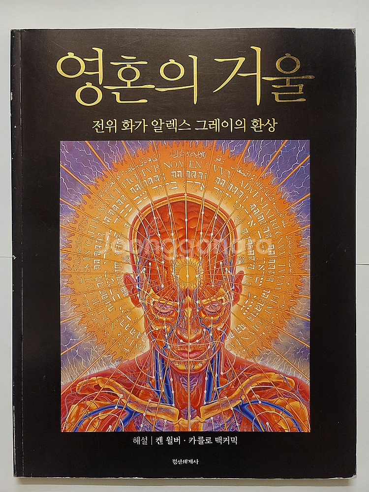 영혼의 거울 상리형진 달마보전. 동유기 자본론 함께 읽...--1