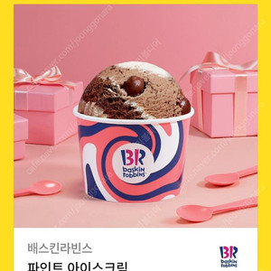 베스킨라빈스 파인트 아이스크림
