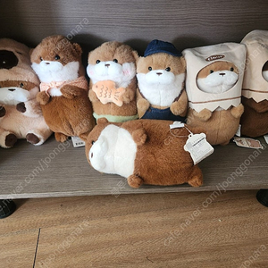 우소우소짱 시리즈 세트
