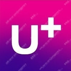 LGU 엘지유플러스 데이터 2GB 2기가