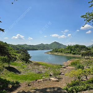 신세계 상품권 10만원권 이마트교환