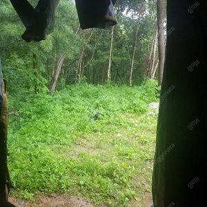 3530 선납등기 25장 반값에판매합니다