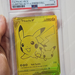 포켓몬카드 25주년 피카츄 V 골드 PSA9