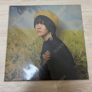 카코포니 화 LP 500장 한정판 (2회 재생)