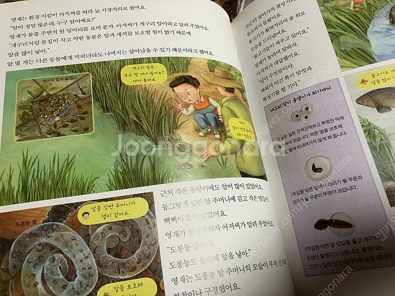 웅진 한솔어린이과학 전권 54권 영재원 과학 도서 책 ...--2