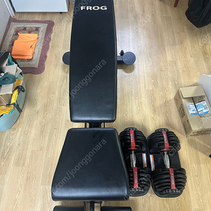 FROG 인클라인 벤치 + 무게조절덤벨