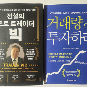 패턴의 정석. 전설의 프로 트레이더 빅. 거래량으로 투자하라