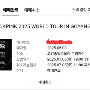 블랙핑크 콘서트 일요일