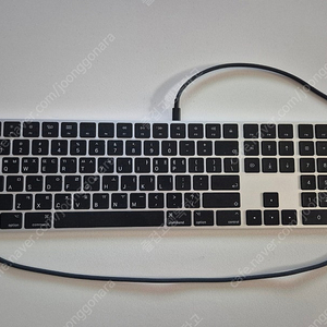 애플 무선 매직키보드 Magic Keyboard with Numeric Keypad A1843 팝니다.